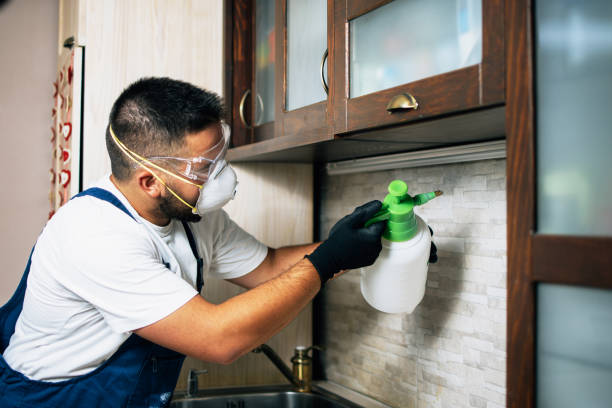 Best Pest Prevention Services  in Blaine, MN