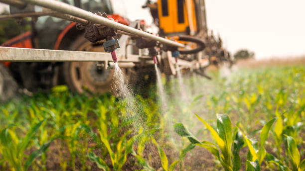 Best Mosquito Control Services  in Blaine, MN